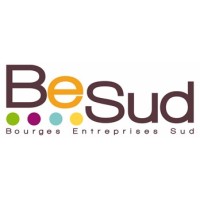 Besud logo - Similar company to Inter Réseaux Du Cher