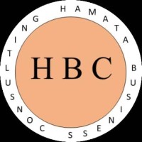 HAMATA BUSINESS CONSULTING logo - Similar company to Cole Solutions