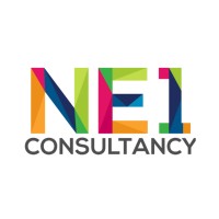 NE1 Consultancy logo - Similar company to International Broadcast Consultancy Ltd