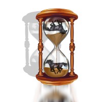 TimeHorse, LLC logo - Similar company to Nitro