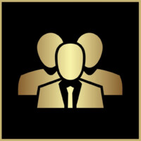 Freemium Mentors logo - Similar company to Growth Stack