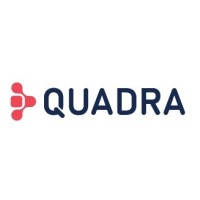 Quadra Software Solutions Pvt. Ltd. logo - Similar company to Appdecs Technologies Pvt Ltd