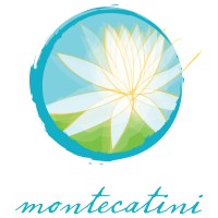 Montecatini Eating Disorder Treatment Center logo - Similar company to Center For Change Treatment Programs