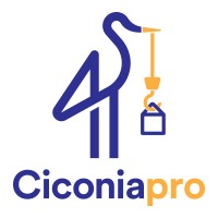 CiconiaPro Ltd logo - Similar company to Trustify