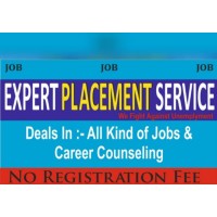 Expert Placement Services logo - Similar company to Placement Expert - Leading Executive Search Firm From India