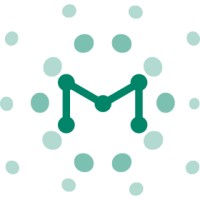 Megasight logo - Similar company to Smcse Solutions