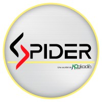 Spider Madagascar logo - Similar company to Guilmann