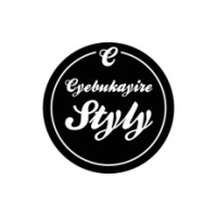 Styly logo - Similar company to Bodyscope