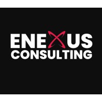 Enexus Consulting logo - Similar company to Mercenary Technology