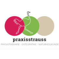 Praxisstrauss