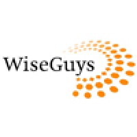 WiseGuys Internet BV logo - Similar company to Echo Digital Automations