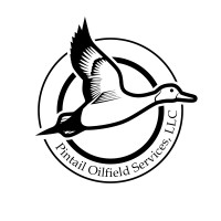 Pintail Oilfield Services logo - Similar company to Cajun Consulting