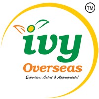 IVY Overseas logo - Similar company to Valmiki Group