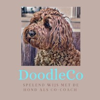 DoodleCo logo - Similar company to Lovebusiness Bv