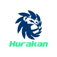 Hurakan Global Division – ZW Turbo logo - Similar company to Osell （大龙网）