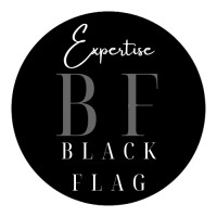 BLACK FLAG EXPERTISE logo - Similar company to Concierge Service Properties