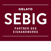 SEBIG GmbH logo - Similar company to Entonative Gmbh (Tenetrio)
