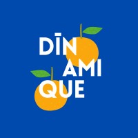 Dinamique logo - Similar company to Ai Switch