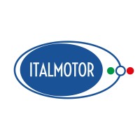 Italmotor logo - Similar company to Dielle Auto