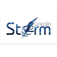 Lincoln Storm Ltd logo - Similar company to Raw Trading Group