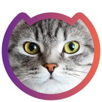 Cat-ion LLC logo - Similar company to Castner Technologies