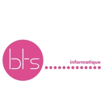 BTS Informatique Luxembourg logo - Similar company to Bleukernel Informatique Nancy