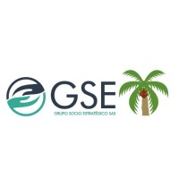 Grupo Socio Estratégico S.A.S