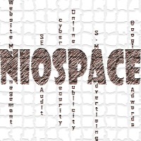 Niospace (Web design, development & digital marketing) logo - Similar company to Doncept - Web Design Agency