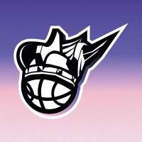 Toulouse 3x3 Stormers logo - Similar company to Wapz Sports