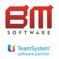 BM Software Srl - Partner TeamSystem logo - Similar company to Solutioo Group