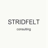 Stridfelt Consulting logo - Similar company to E-Space Communication