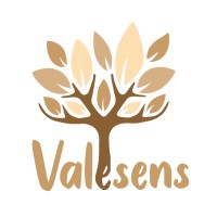 VALESENS - COACH logo - Similar company to Limitless Project