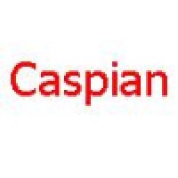 Caspian CM Consulting LLC logo - Similar company to Caspian India