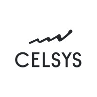 CELSYS logo - Similar company to Comadran Studios