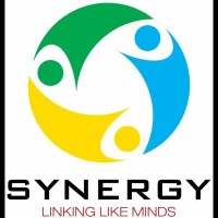 Synergy  Networking Organisation