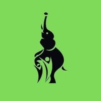 South Luangwa Responsible Community Project - Zambia logo - Similar company to React Digital Consulting