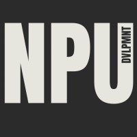 Ne Plus Ultra Development logo - Similar company to Fve Systems Europe