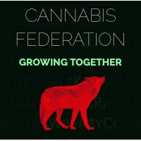 Cannabis Federation GmbH logo - Similar company to Medixanthol®