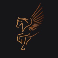 Pegasus Equity Advisors logo - Similar company to Ravon Consulting Group