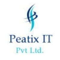 Peatix IT logo - Similar company to Peatix