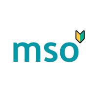 MSO Gerenciamento e Consultoria logo - Similar company to Portal De Notícias Fato E Ato