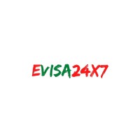 E Visa 24x7