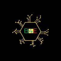 Blockchain 4 Ethiopia 🇪🇹 logo - Similar company to Skillbyte Training And Consultancy