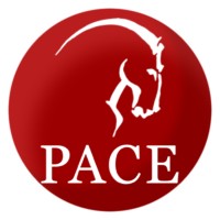 PACE International Academy logo - Similar company to Internexus Provo