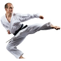 HMD Academy of Tae Kwon Do logo - Similar company to Hidaya Academy Of Champaign-Urbana