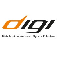 Digi Instruments srl logo - Similar company to Lelli Kelly Spa