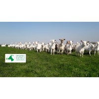 Organic Goatmilk Coöperatie logo - Similar company to Kaasmakerij Passendale (Fromunion Nv) - Groupe Savencia