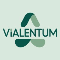 Vialentum | Consultora en Gestión Humana Estratégica logo - Similar company to Romulo Sanchez, Continuous Improvement Academy
