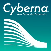 CYBERNA logo - Similar company to Malizen
