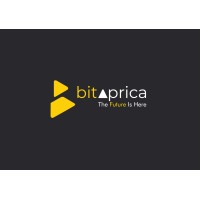 BitAprica logo - Similar company to Sarafa